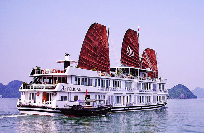 Pelican Cruise