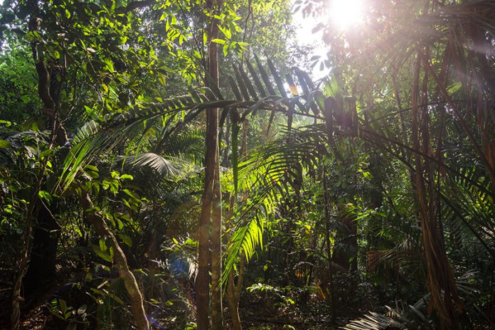 Offbeat Experiences in Off the Beaten Track Places