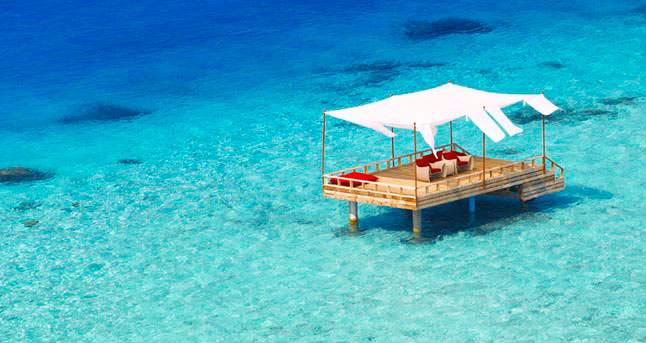 Learn More about the Maldives