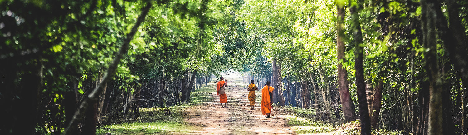 The Absolute Laos Experience