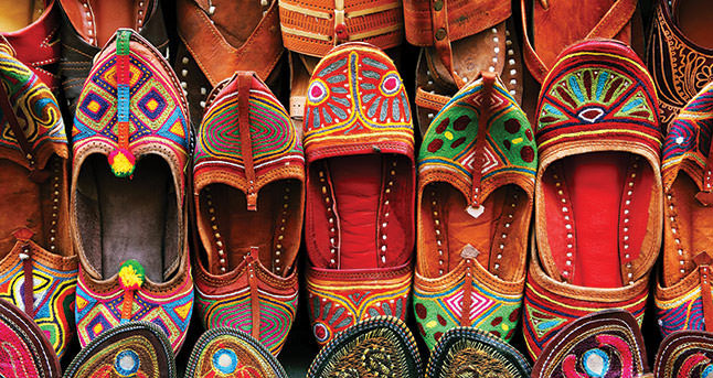 Family Tour of India