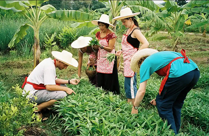 Halong Bay Countryside Tours