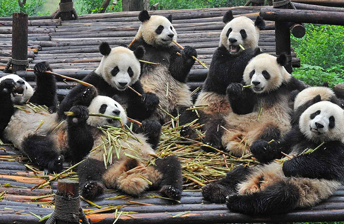 When is the best time to visit China?